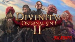 Divinity: Original Sin 2